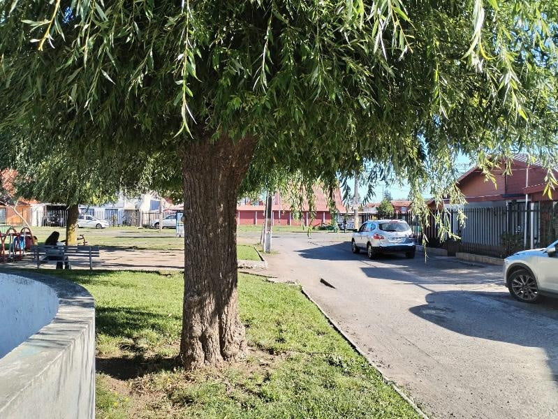 Talcahuano, Región del Biobío   LAGO PALENA